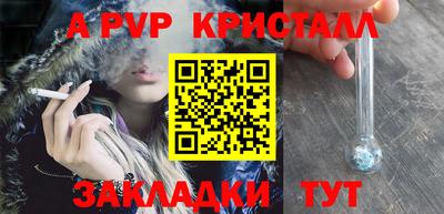стафф Можга
