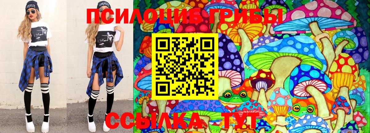 Псилоцибиновые грибы прущие грибы Хабаровск